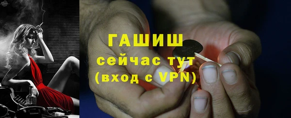 эйфоретик Арсеньев
