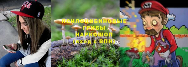 крисы Баксан