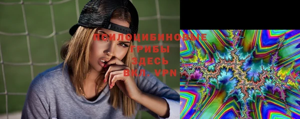 эйфоретик Арсеньев